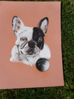 /album/galerie-photos/photo-626-jpg/